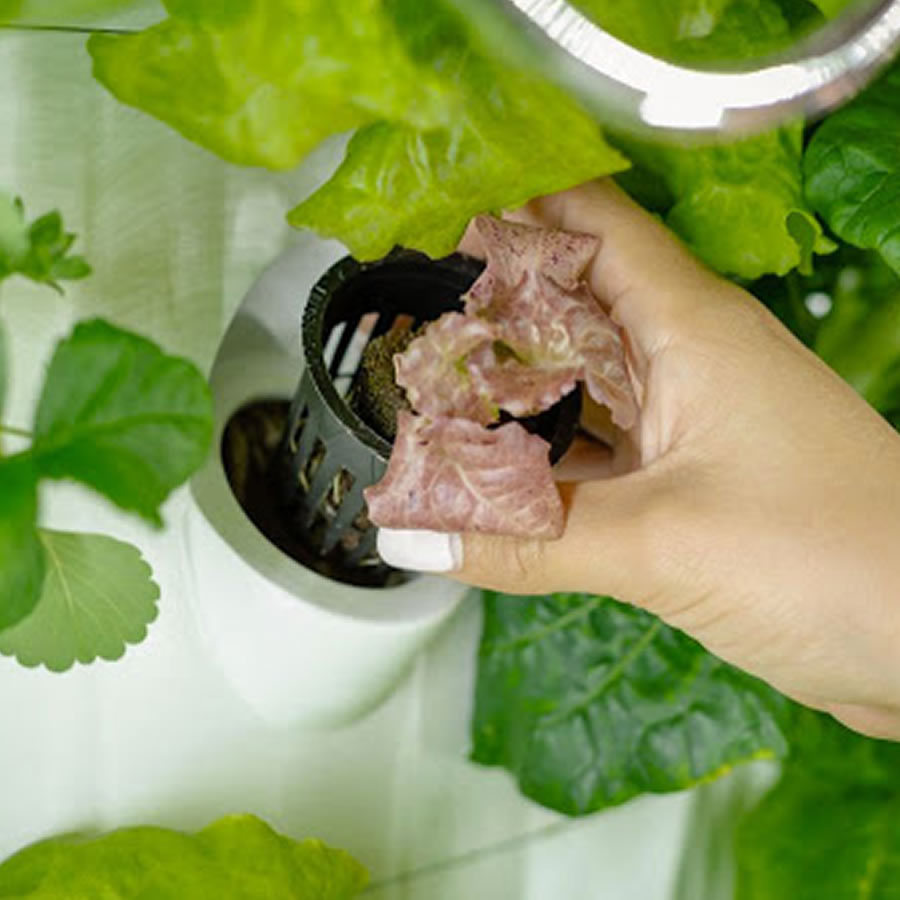 108 Cup NFT Hydroponic Kit: image 7