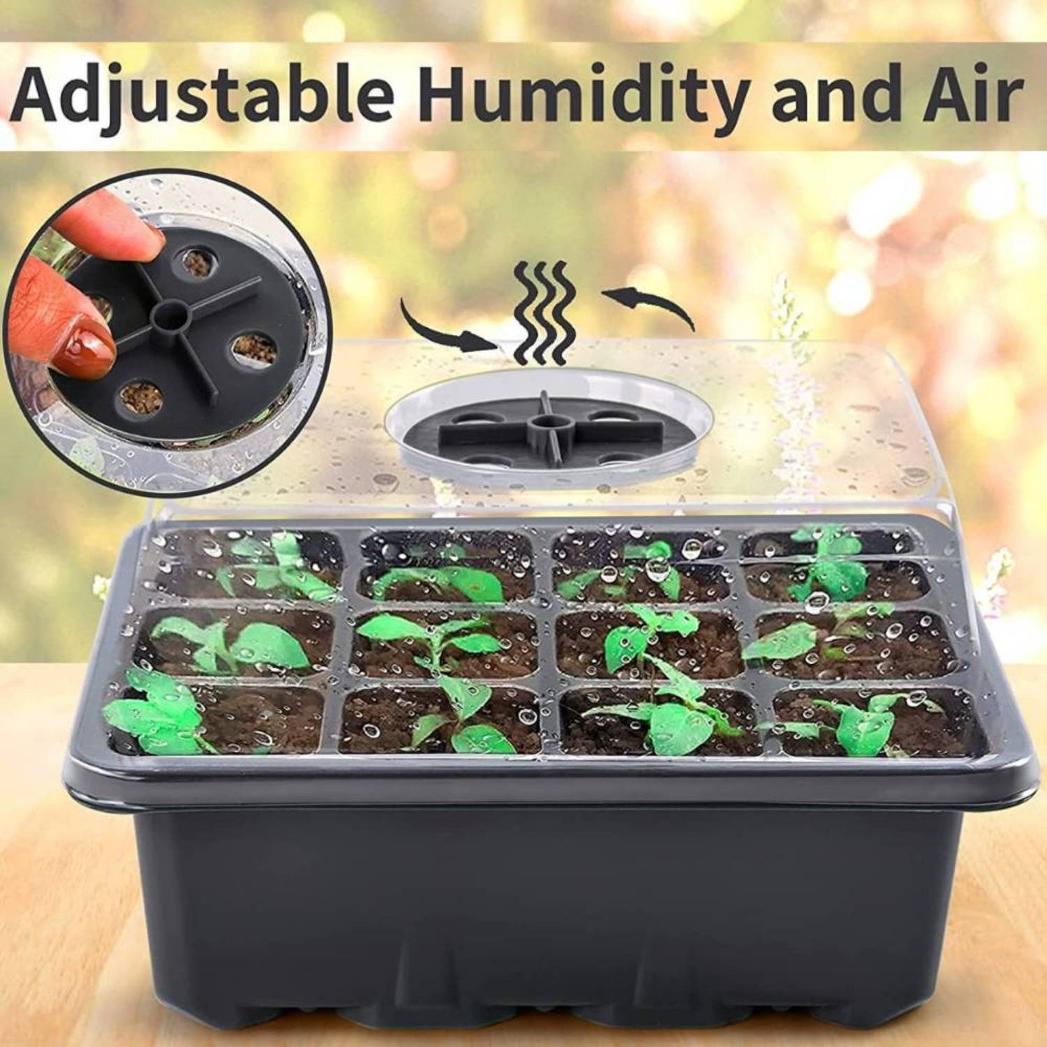 Seed Starter Trays, Pack of 5: image 8