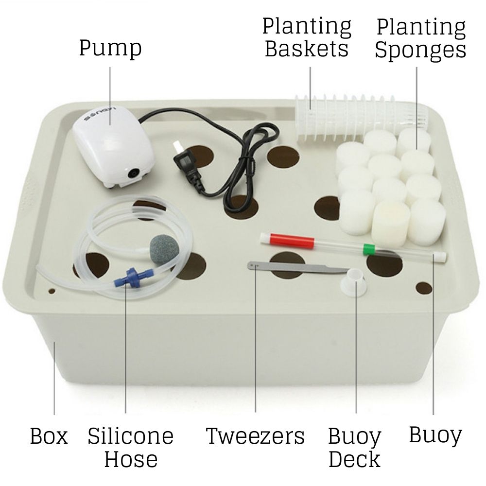 11 Cup Deep Water Culture Kit