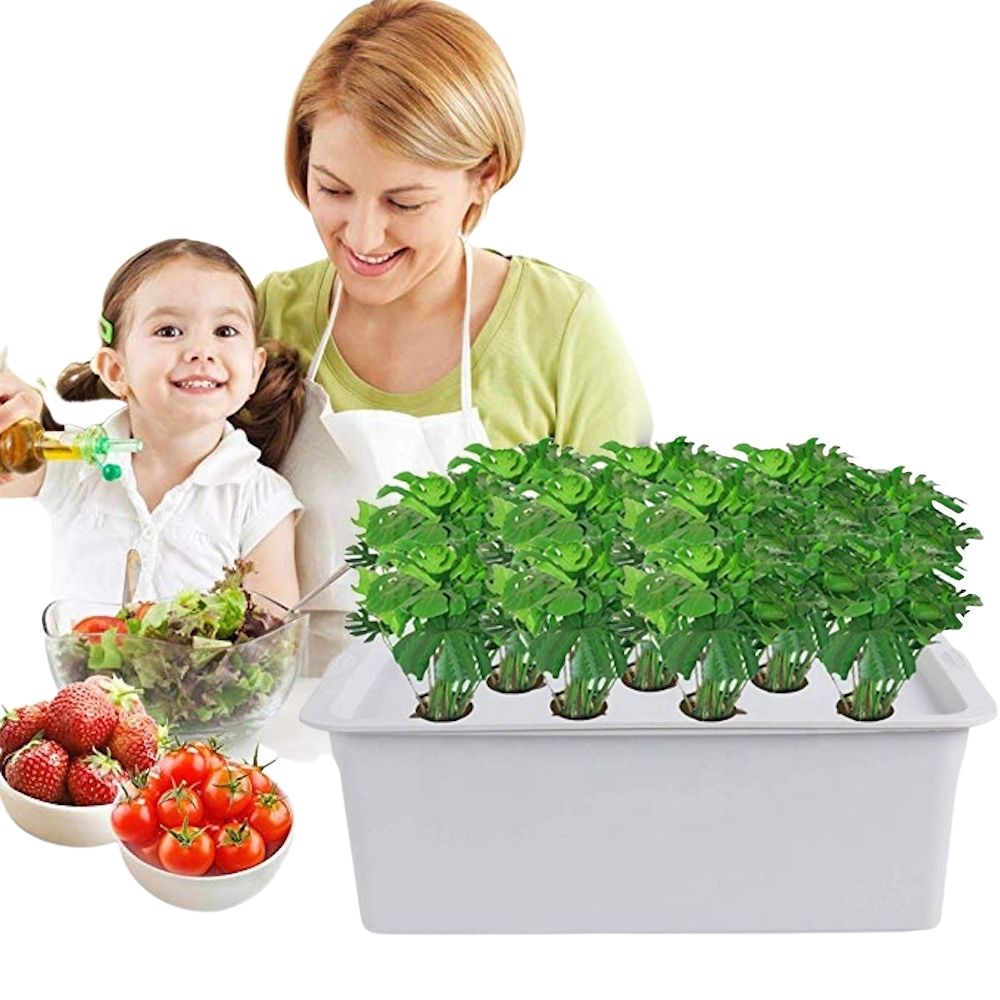 11 Cup Deep Water Culture Kit