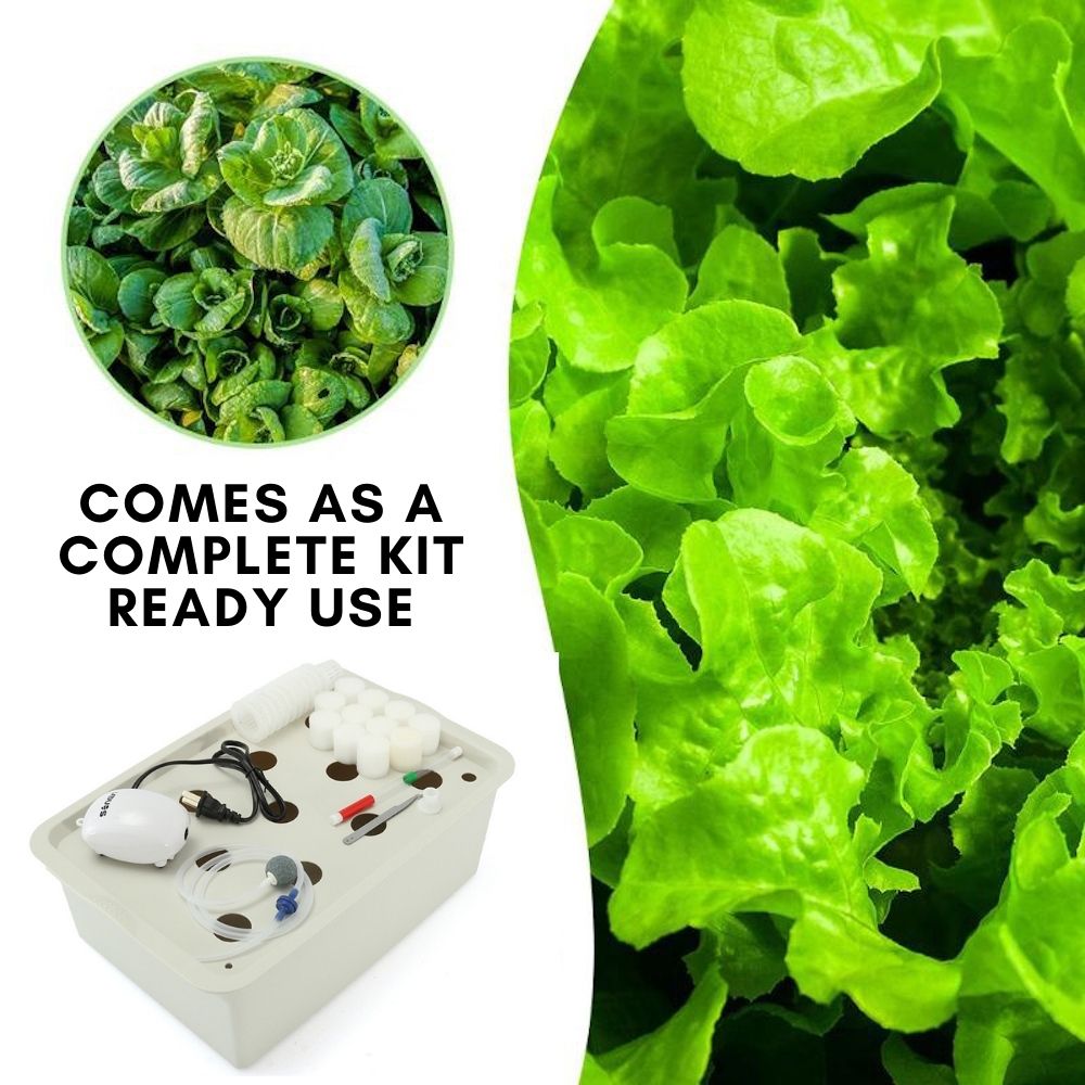 11 Cup Hydroponic Planter: image 2