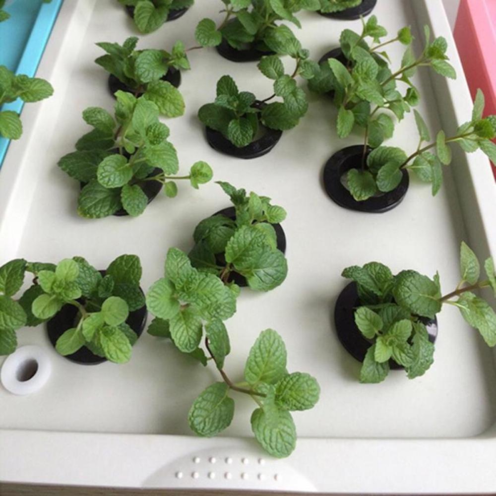 11 Cup Hydroponic Planter: image 4