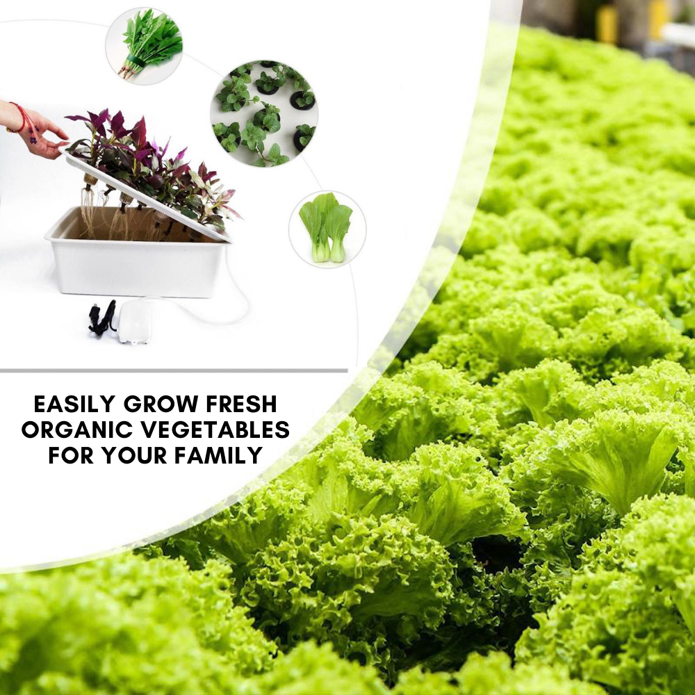 11 Cup Hydroponic Planter: image 7