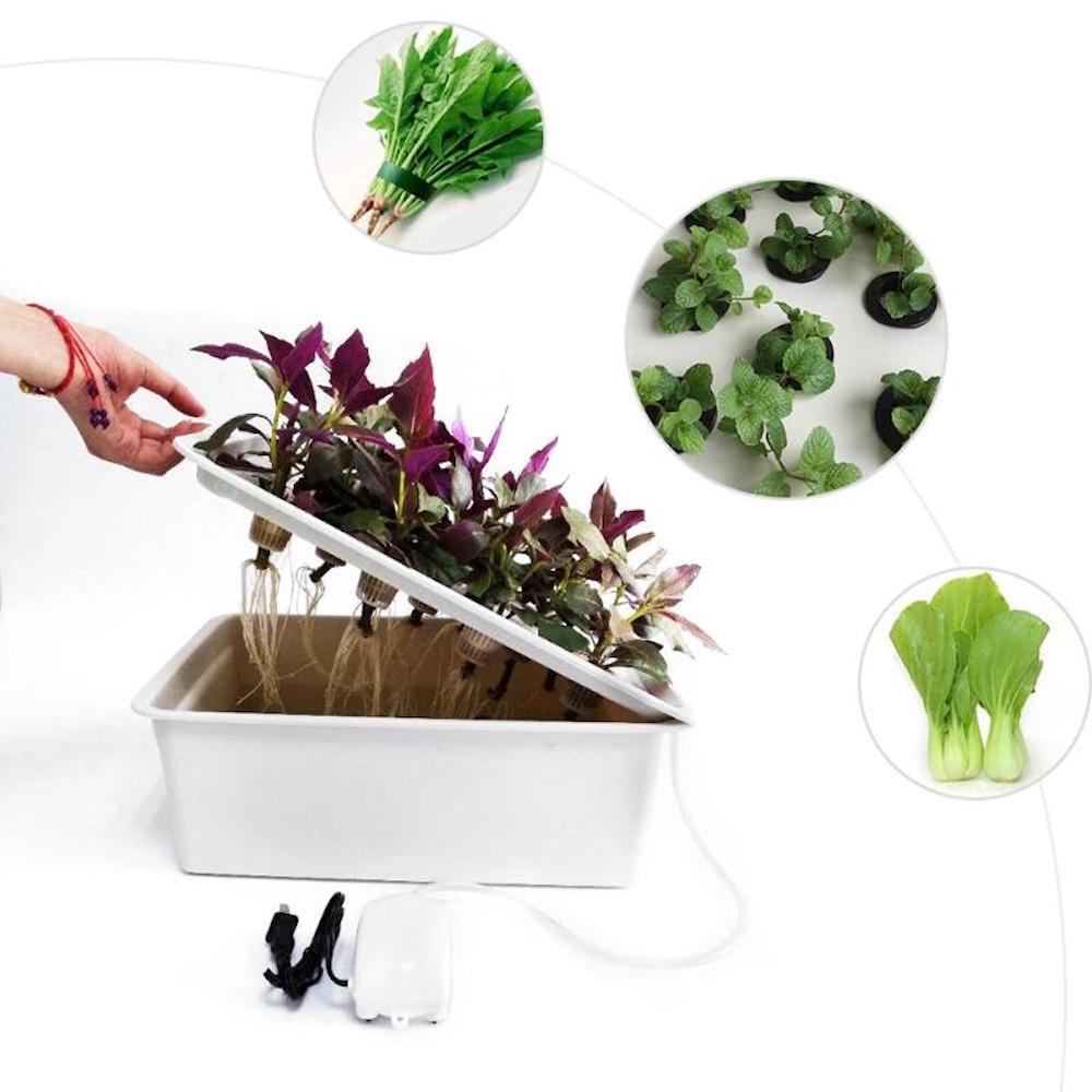 11 Cup Hydroponic Planter