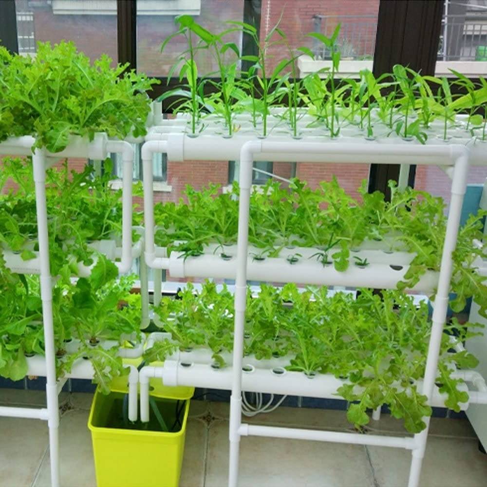 buy home hydroponic kit